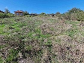 Plot Zlatna niva, region Shumen