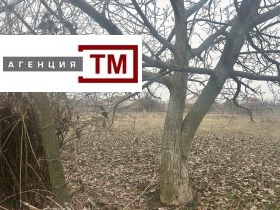   , . ,   