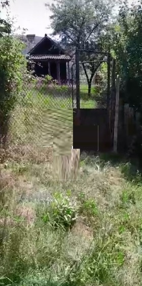   ,. ,  