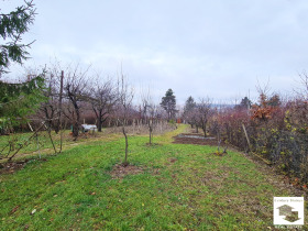 Plot Buzludzha, Veliko Tarnovo