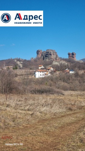 Plot Chiflik, region Vidin