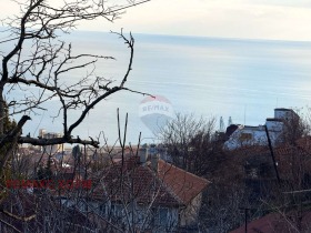 Plott Balsjik, region Dobrich