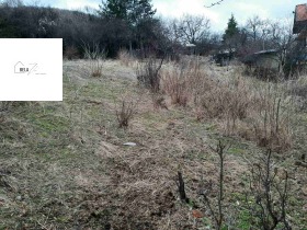 Plot Bela voda, Pernik